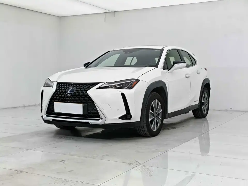 Lexus UX Electric 300e Pure Enjoyment Edition 2020