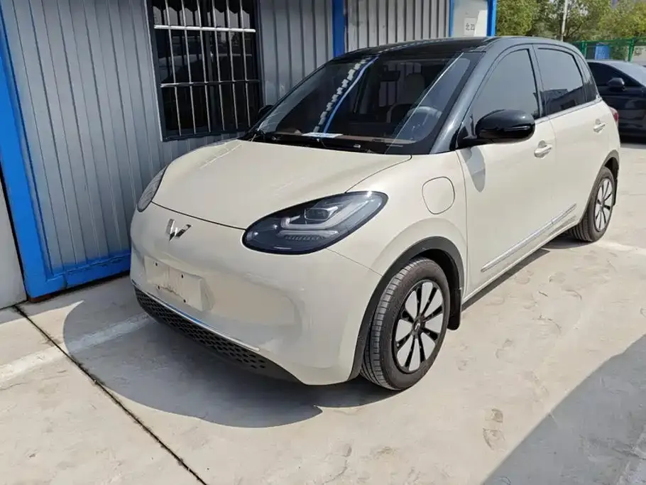Wuling Motors Wuling Bingo 333km Comfort Edition 2024