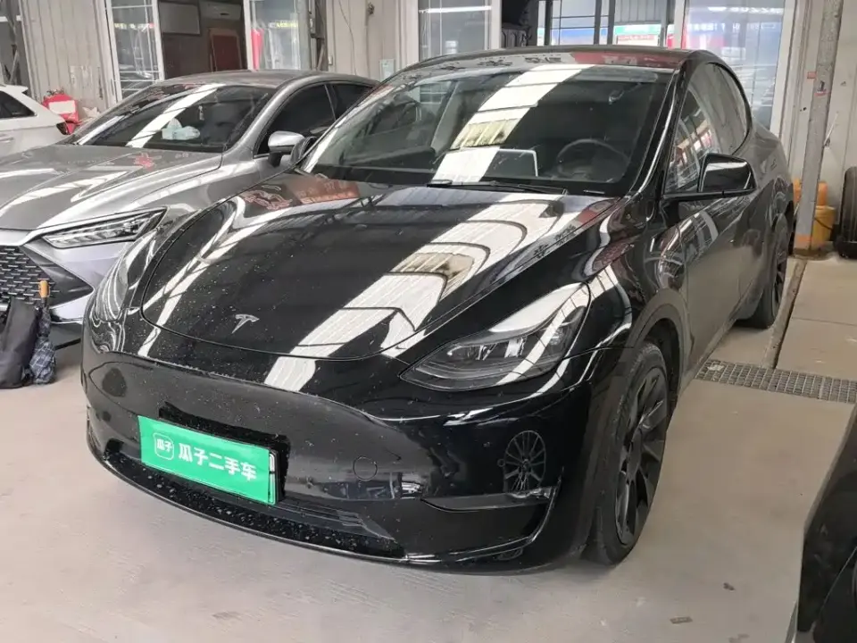 Tesla Model Y Standard Range Rear-Wheel Drive 2021
