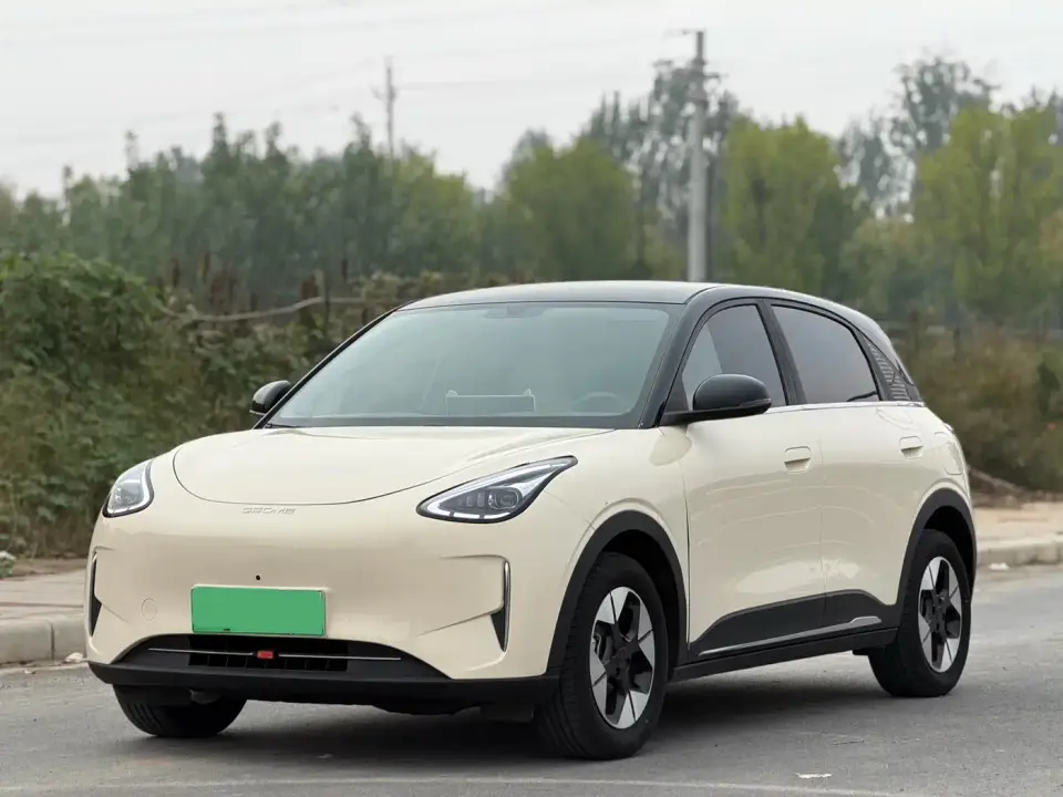 Geely Galaxy Starry Wish 310km Dream Edition 2025