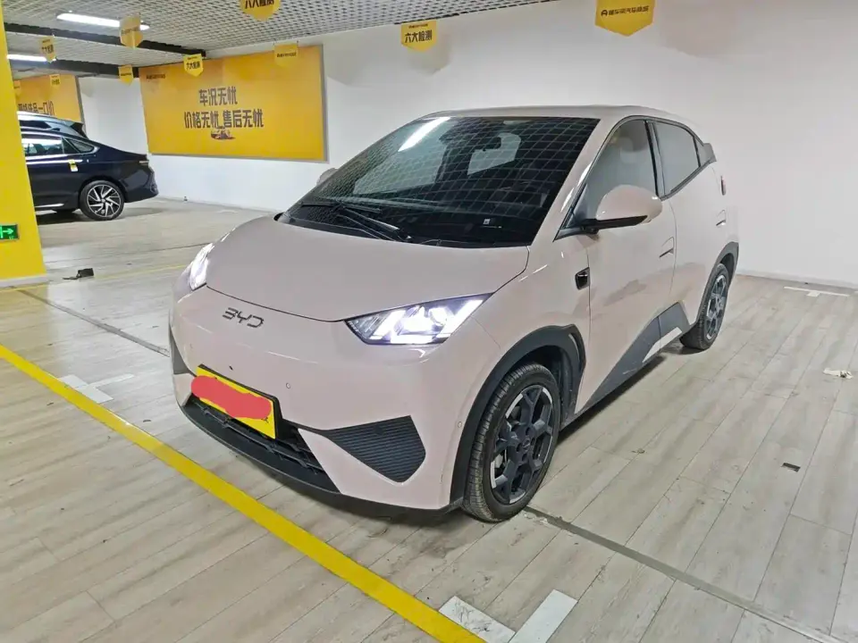 BYD Seagull 305km Freedom 2025
