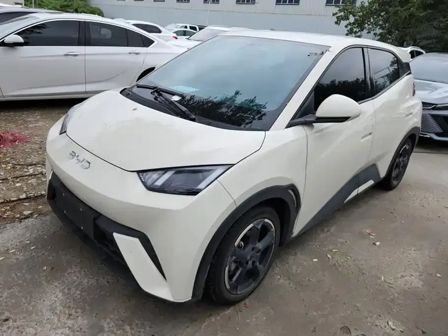 BYD Seagull Flying Edition 2023