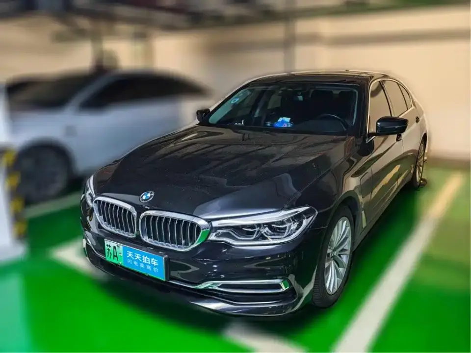 BMW 5 Series New Energy Facelift 530Le Luxury Package 2019