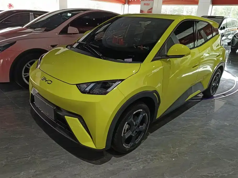 BYD Seagull Glory Edition 305km Freedom Edition 2024