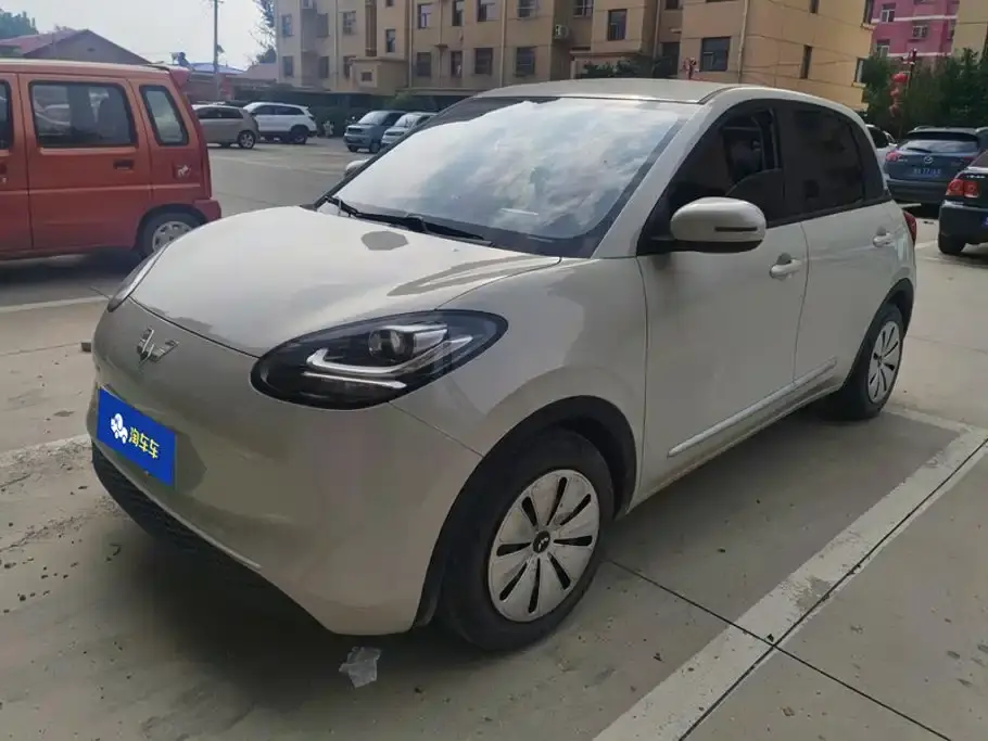 Wuling Motors Wuling Bingo Model 203km Lite Enjoyment Edition 2023