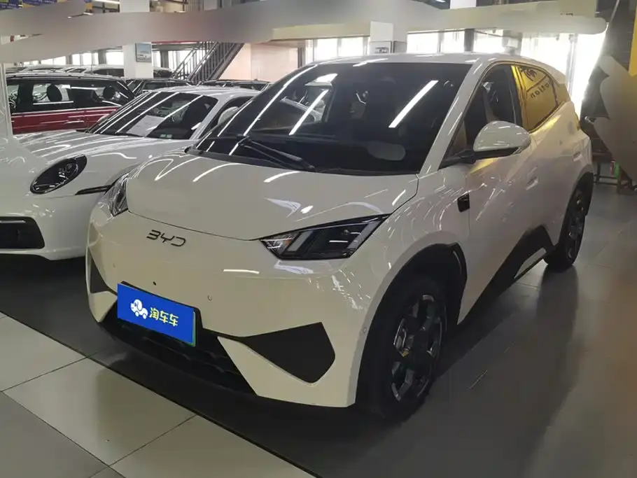 BYD Seagull Smart Drive Edition 305km Freedom Version 2025