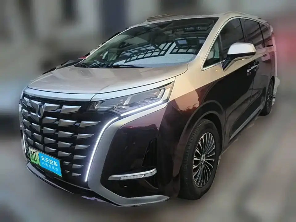 Denza D9 DM-i 980 AWD Flagship 2024