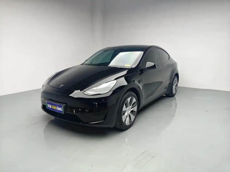Tesla Model Y Rear-Wheel Drive Version 2022