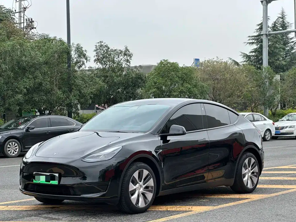 Tesla Model Y Rear-Wheel Drive Version 2022