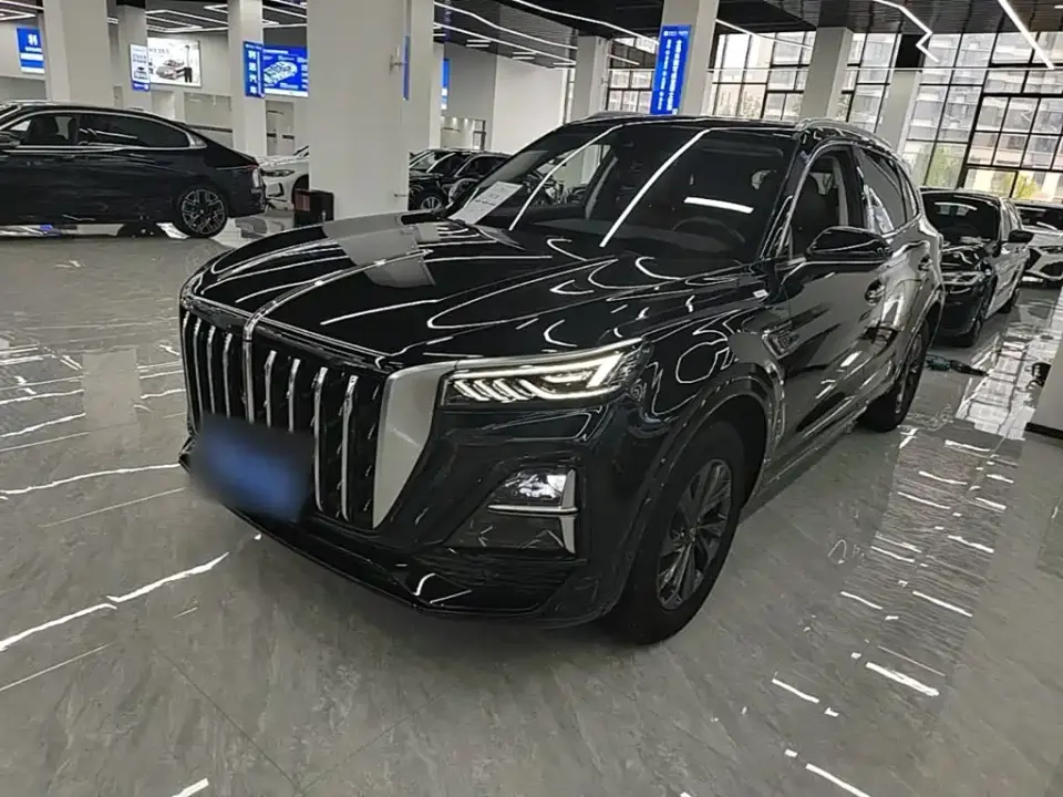 Hongqi HS5 2.0T Flag Enjoy Pro Edition 2024