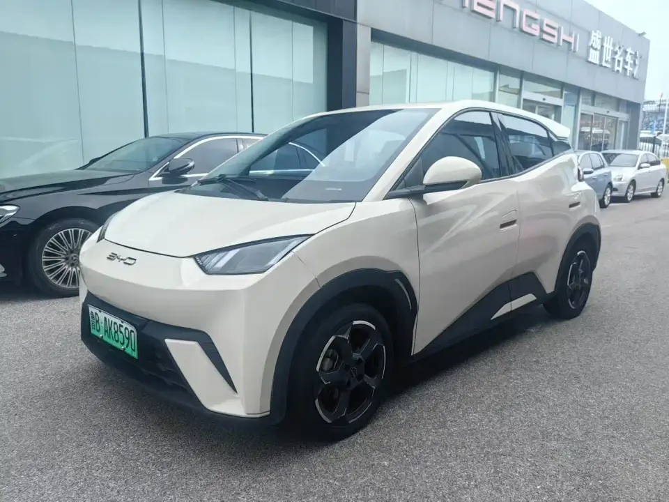 BYD Seagull Glory Edition 405km Soaring Edition 2024