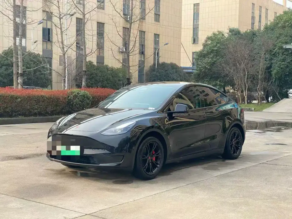 Tesla Model Y Rear-Wheel Drive Edition 2024