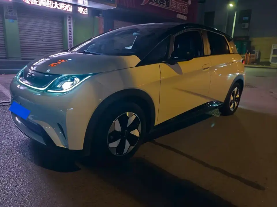 BYD Dolphin Glory Edition 420km Fashion Edition 2024