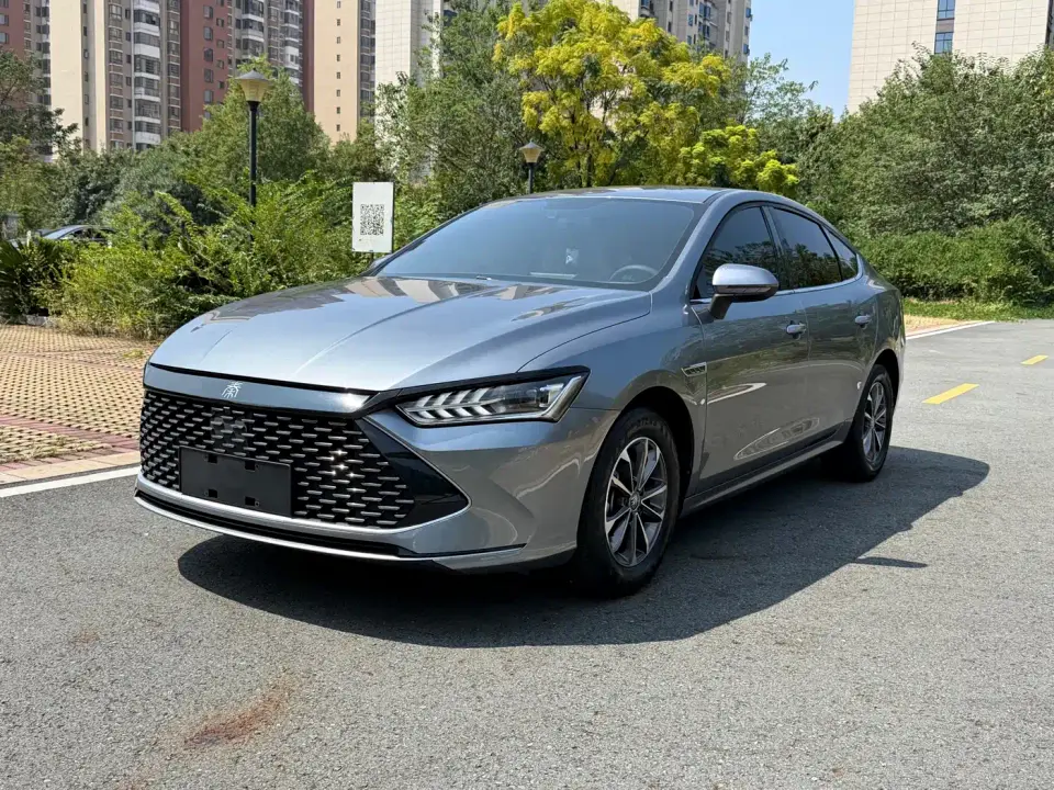BYD Qin PLUS Champion Edition DM-i 55KM Leading 2024