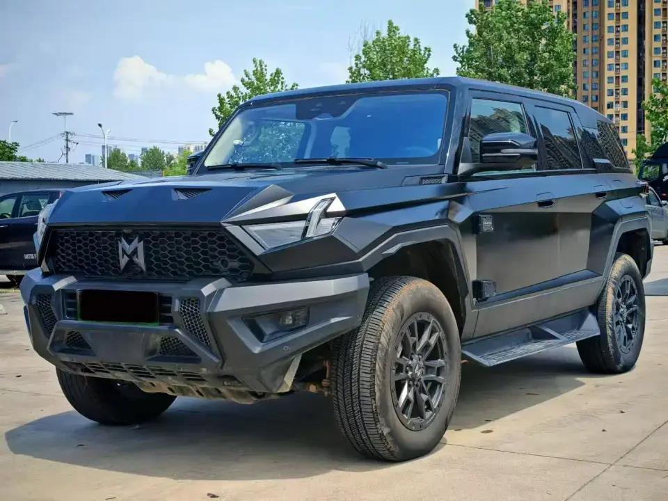Mengshi 917 Extended Range Base Version 2024