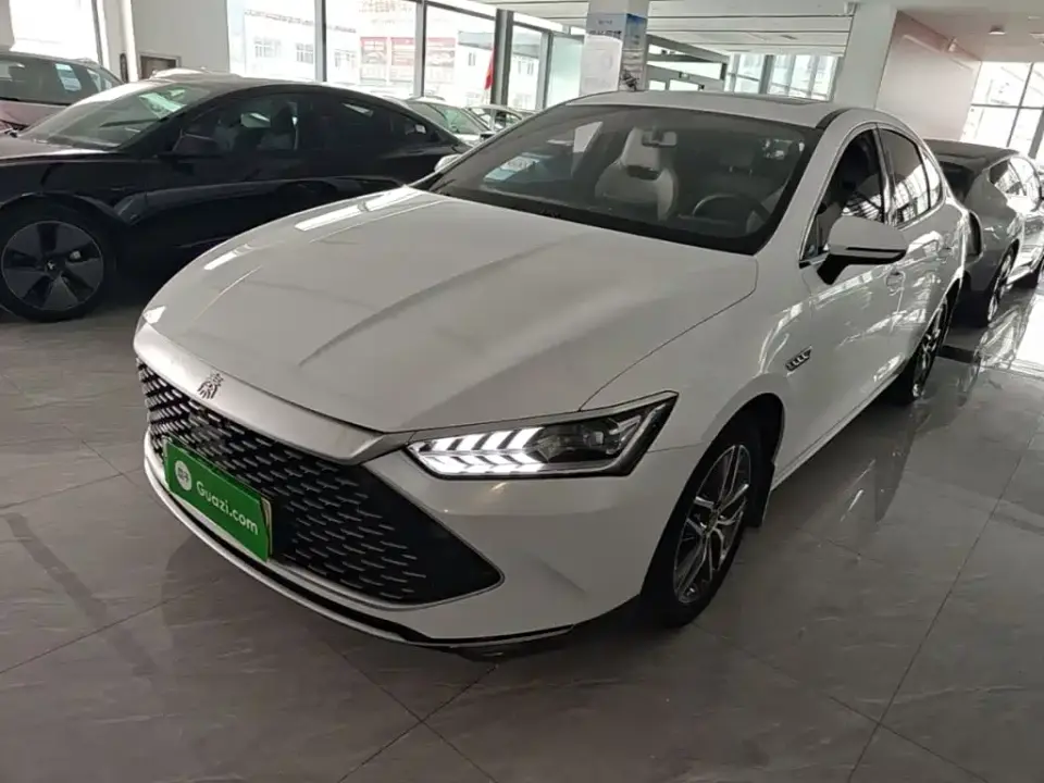 BYD Qin PLUS Champion Edition DM-i 120KM Leading Type 2023