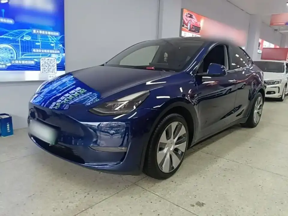 Tesla Model Y Standard Range Rear-Wheel Drive 2021
