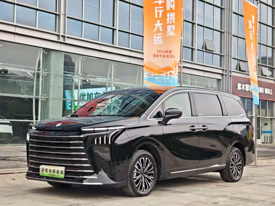 Dongfeng Fengxing Starlight V9 Beyond Joy Series 200km Luxury 2025