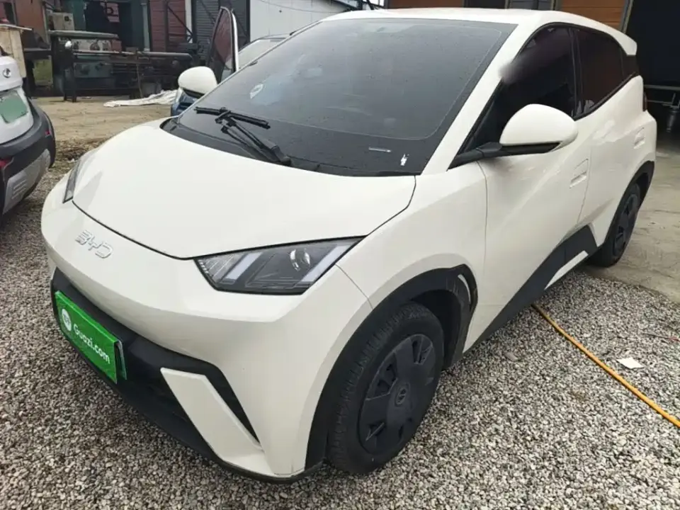 BYD Seagull Glory Edition 305km Vitality Edition 2024