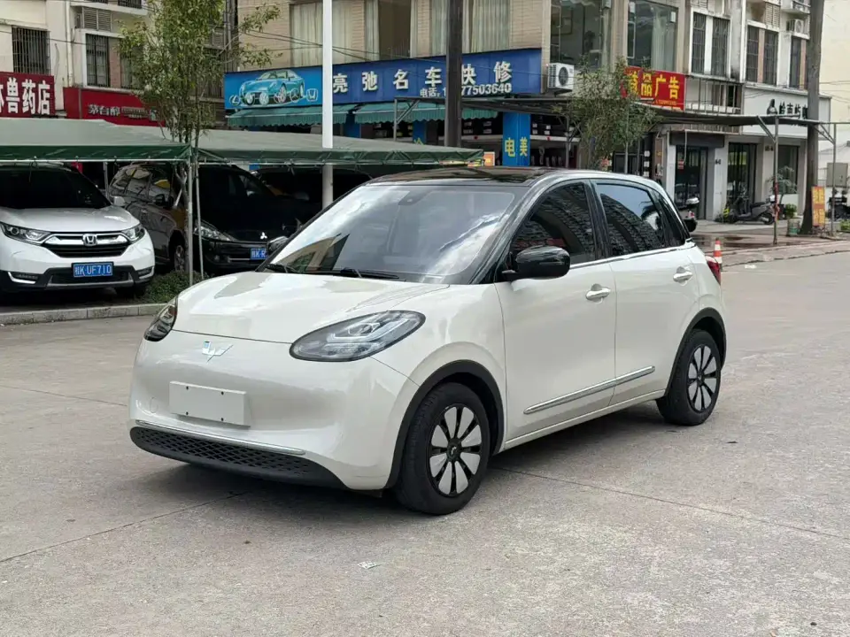 Wuling Motors Wuling Bingo Model 203km Lite Enjoyment Edition 2023