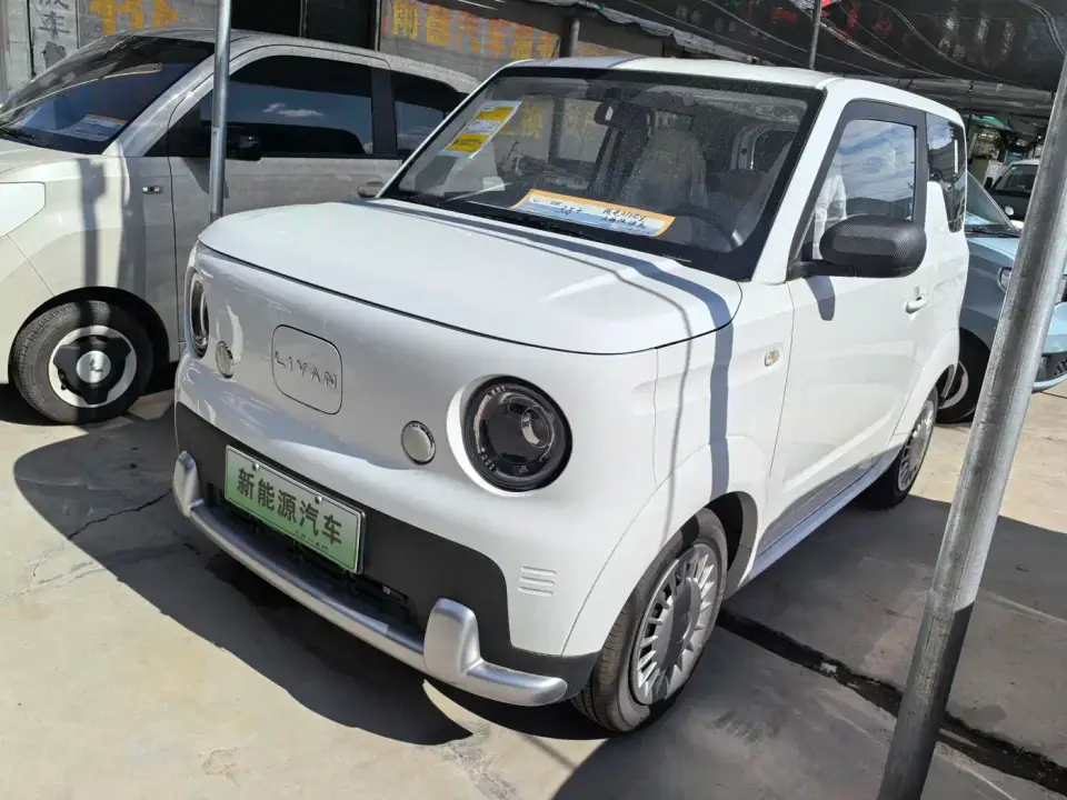 Ruilan Auto Ruilan Blue Elf Base Model 2026