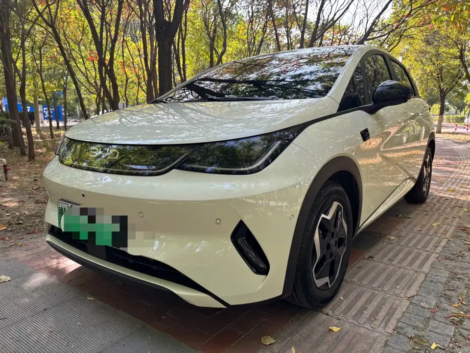 BYD Dolphin Smart Drive Edition 420km Freedom Version 2026