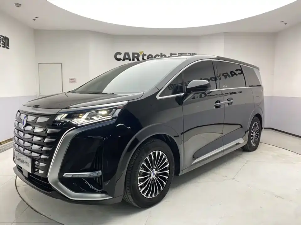 Denza D9 DM-i 980 AWD Flagship 2024