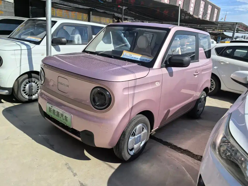 Geely Galaxy Panda Panda Mini 200km Endurance Bear 2023