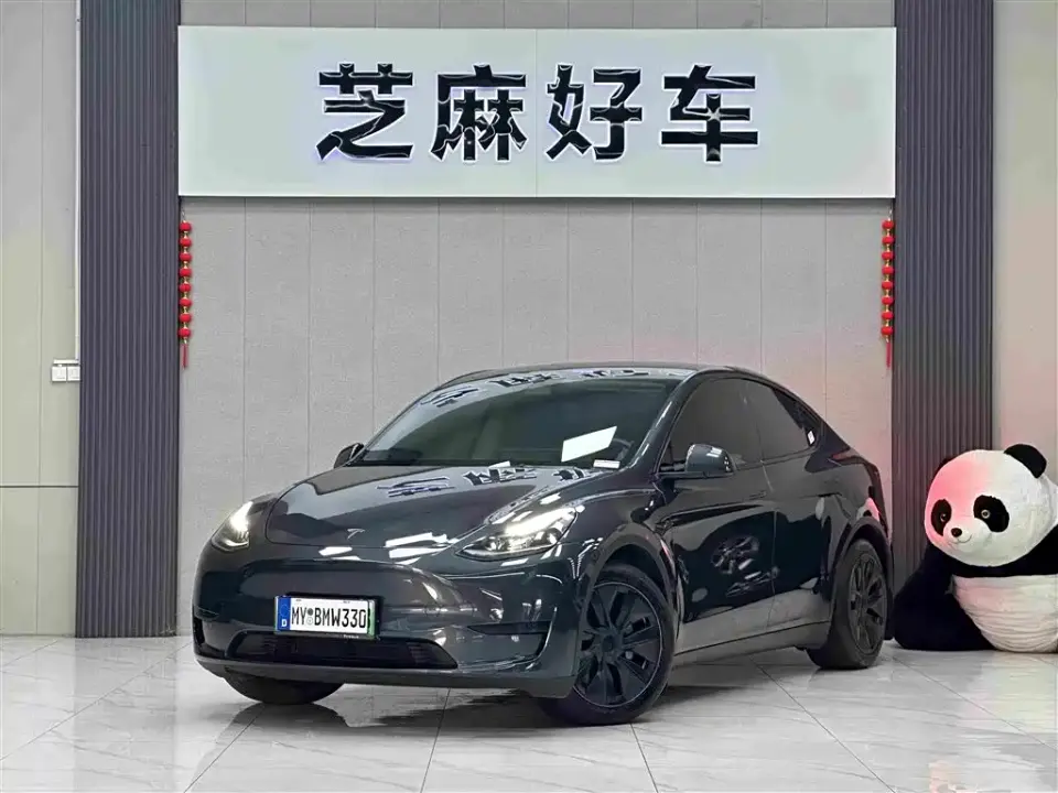 Tesla Model Y Rear-Wheel Drive Version 2024