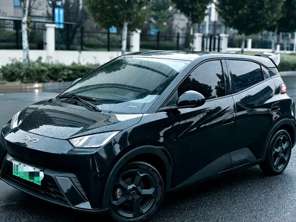 BYD Seagull Vitality Edition 2024