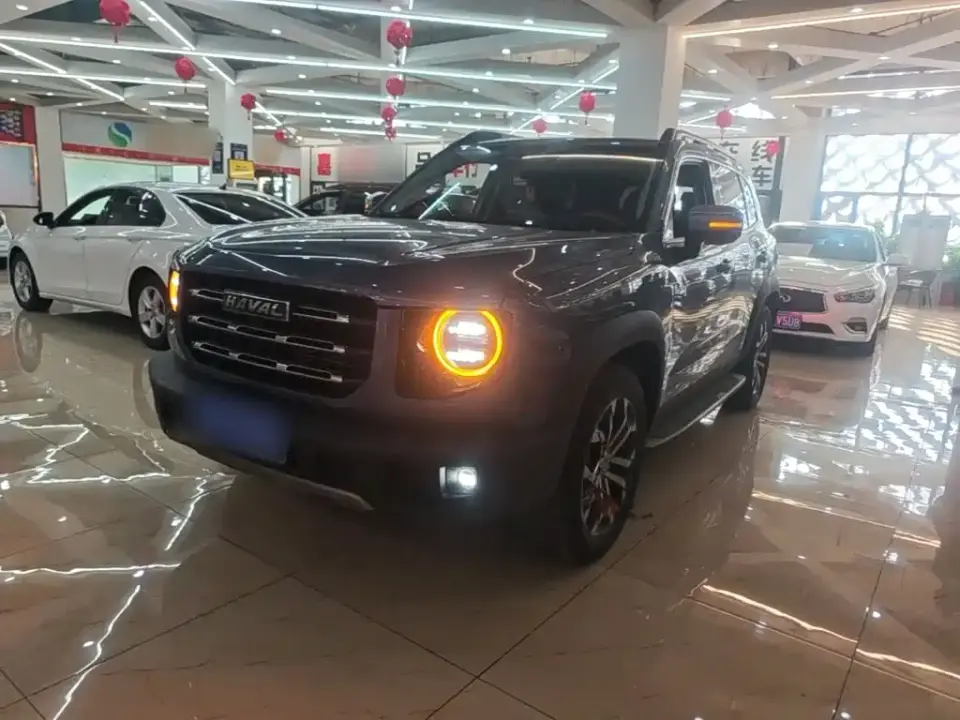 Haval Big Dog 1.5T DCT 2WD Malinois - Wangcai Edition 2021