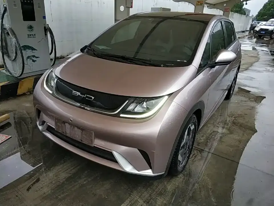 BYD Dolphin Model 405km Fashion Edition 2022