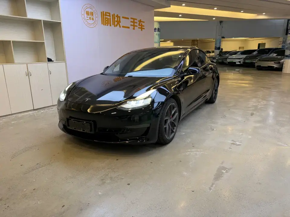 Tesla Model 3 Performance High-Performance All-Wheel Drive 3D6 2021
