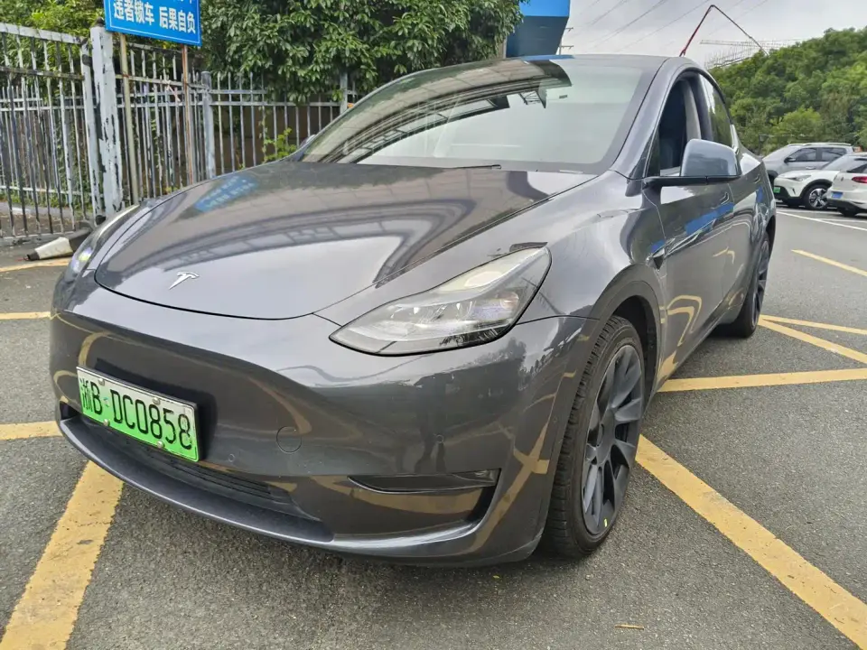 Tesla Model Y Model Long Range AWD 2021