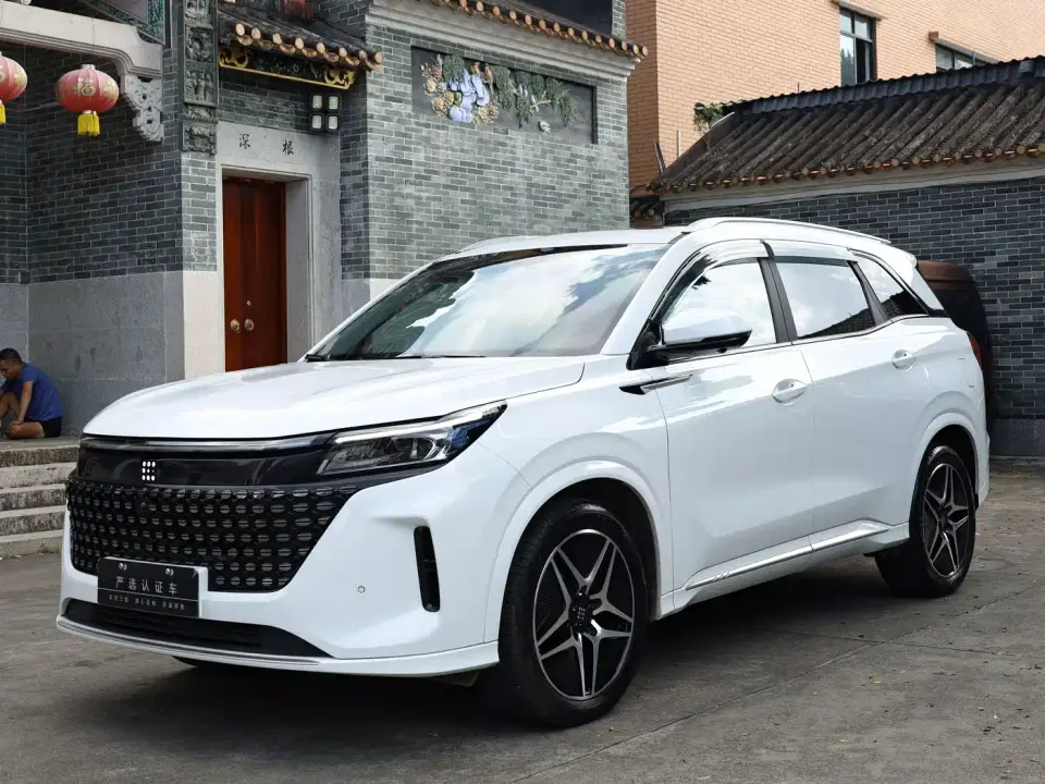 Landian E5 Glory Edition 100KM Ultimate Type 7-Seater 2024