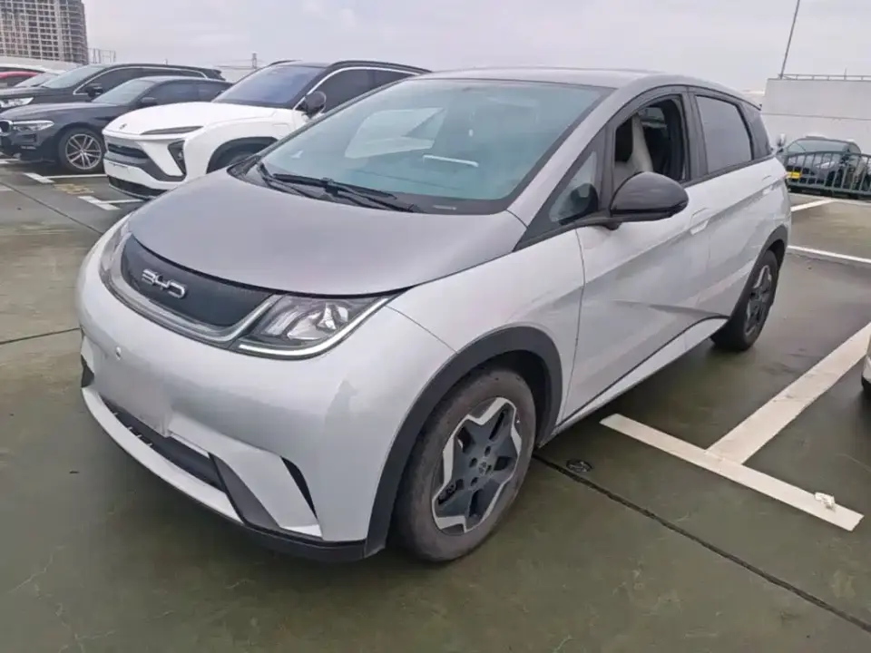 BYD Dolphin 405km Freedom Edition 2022