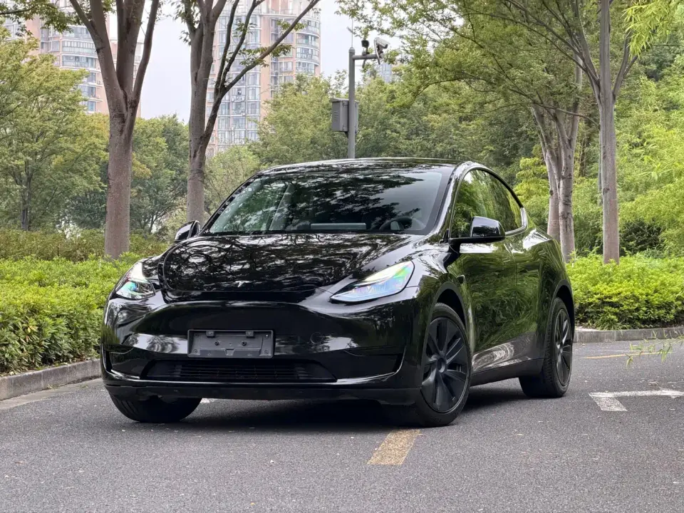 Tesla Model Y Rear-Wheel Drive Version 2024