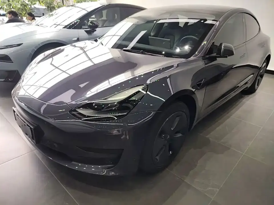 Tesla Model 3 Model Rear-Wheel Drive Version 2022