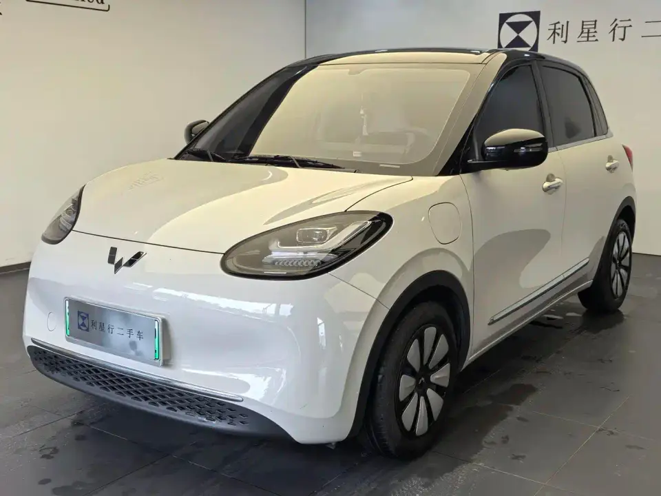 Wuling Motors Wuling Bingo 333km Comfort Edition 2024