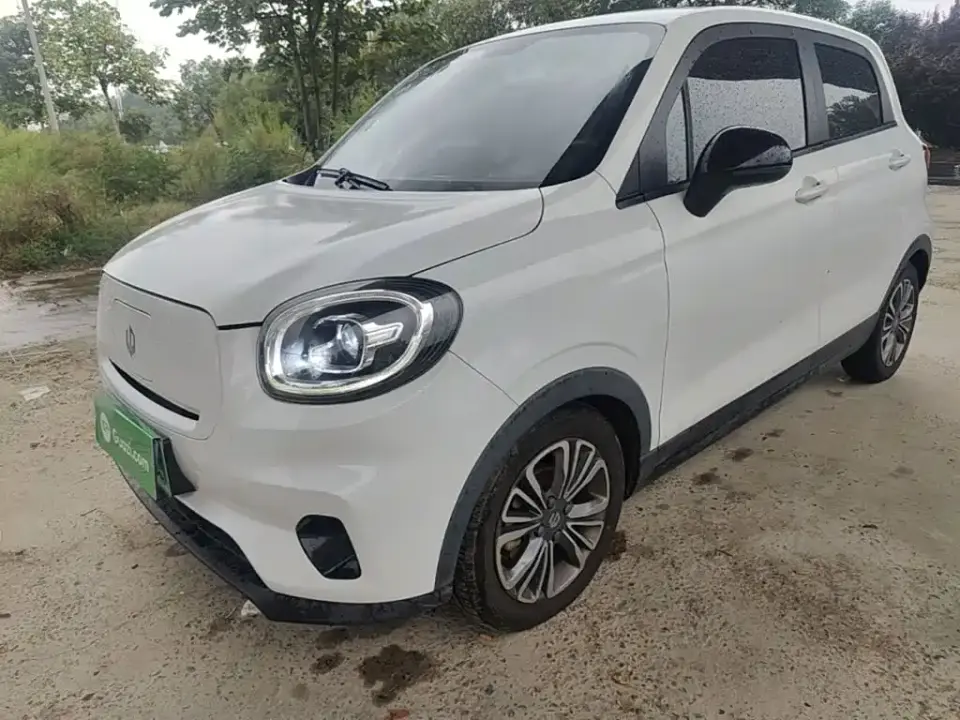 Leapmotor T03 400 Standard Version 2021