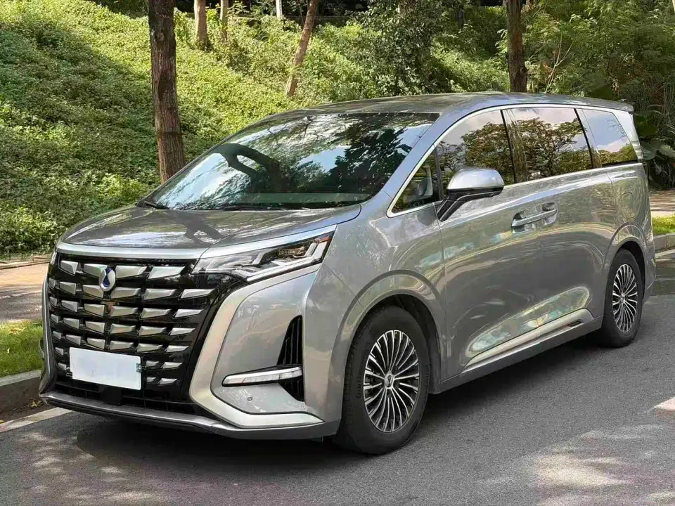 Denza D9 DM-i 1040 Premium 2023