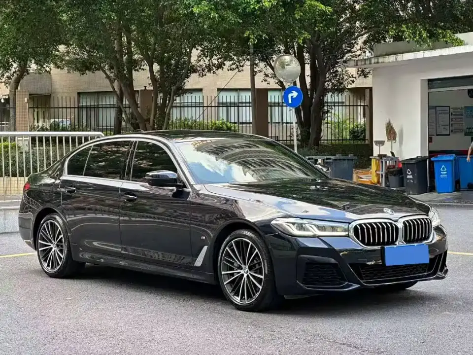 BMW 5 Series 530Li Leading M Sport Package 2021