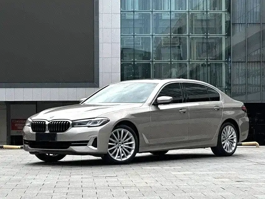 BMW 5 Series 530Li Exclusive Luxury Package 2021