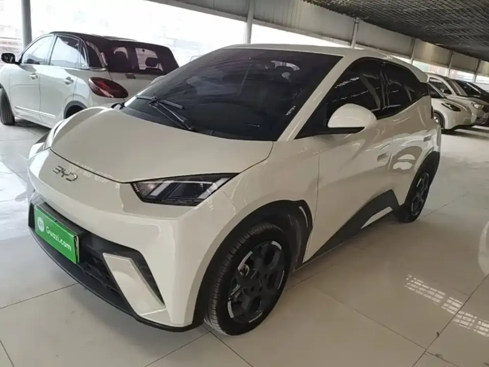 BYD Seagull 305km Freedom 2024