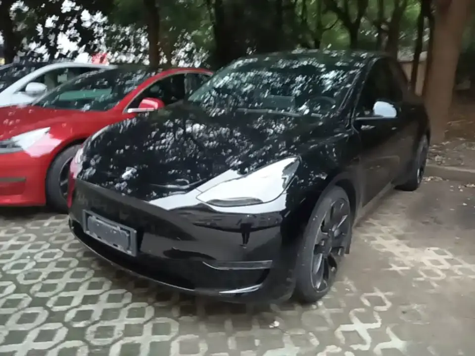Tesla Model Y Performance High-Performance AWD 2021