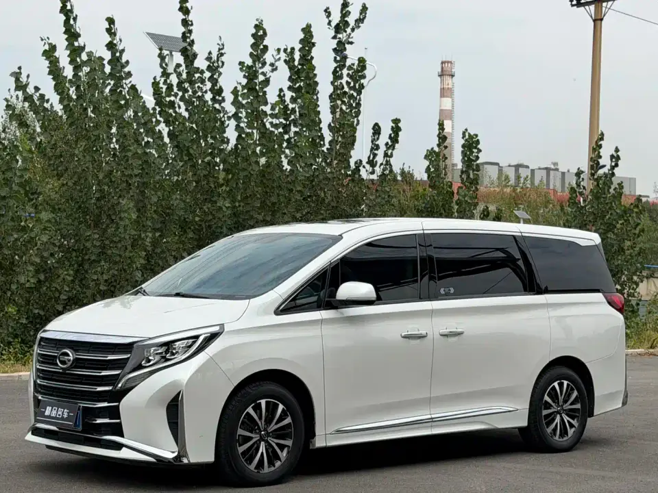 GAC Trumpchi M8 Leading Series 390T Premium Edition 2024