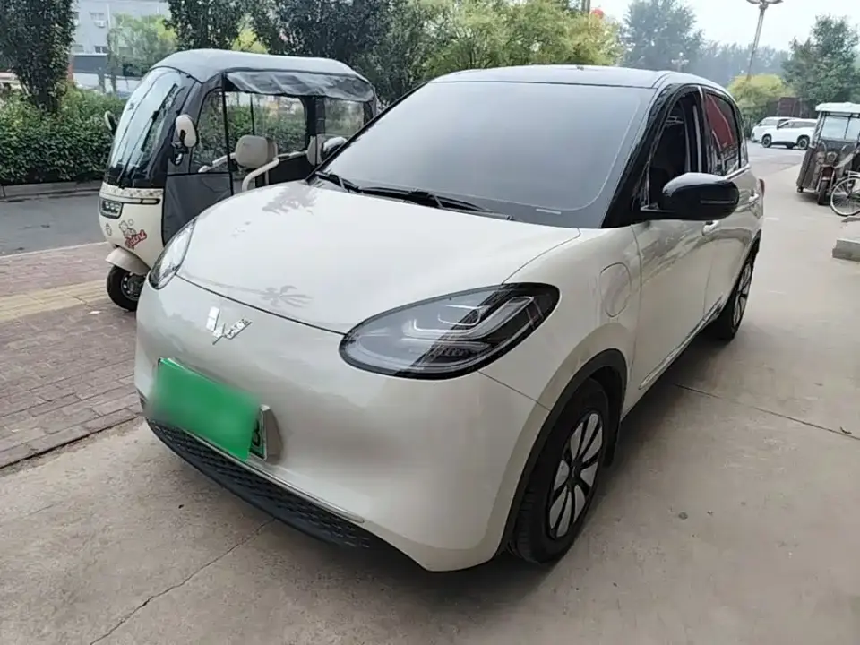 Wuling Motors Wuling Bingo 333km Comfort Edition 2024