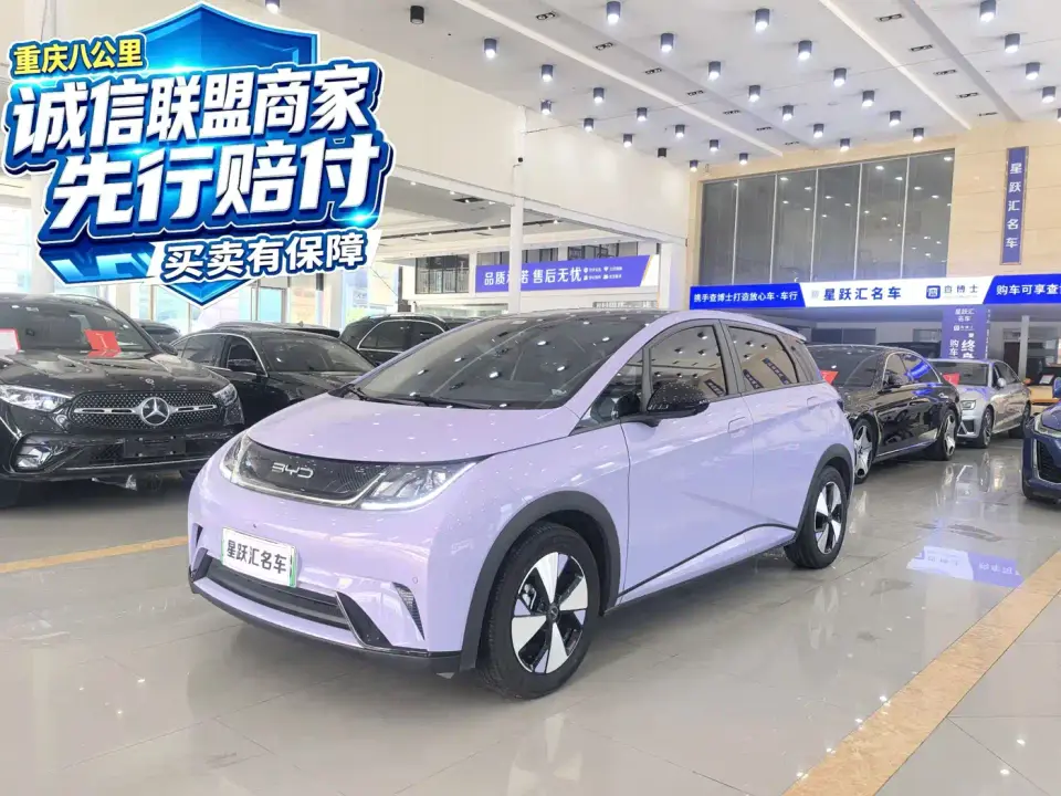 BYD Dolphin 420km Fashion Edition 2023