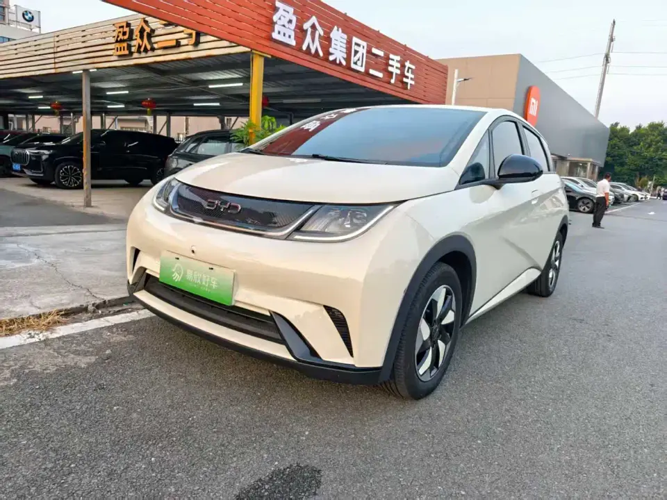 BYD Dolphin Glory Edition 420km Freedom Edition 2024