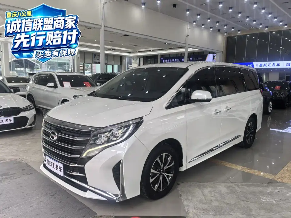 GAC Trumpchi M8 Leading Series 390T Premium Edition 2022